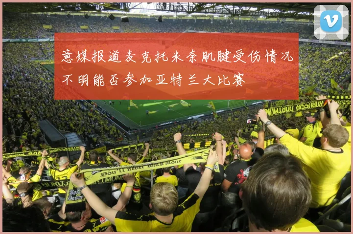 意媒报道麦克托米奈肌腱受伤情况不明能否参加亚特兰大比赛